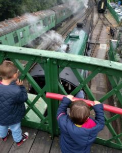 Screenshot_20191009_163728_com.fsf.tapestryandroid